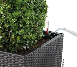 LECHUZA® Lechuza Pflanzgefäße & Töpfe|Blumentöpfe & Übertöpfe - Kunststoff-Topf Cube Cottage, quadratisch Dunkelgrau