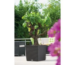 LECHUZA® Lechuza Pflanzgefäße & Töpfe|Blumentöpfe & Übertöpfe - Kunststoff-Topf Cube Cottage, quadratisch Dunkelgrau