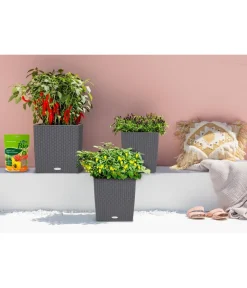 LECHUZA® Lechuza Pflanzgefäße & Töpfe|Blumentöpfe & Übertöpfe - Kunststoff-Topf Cube Cottage, quadratisch Dunkelgrau