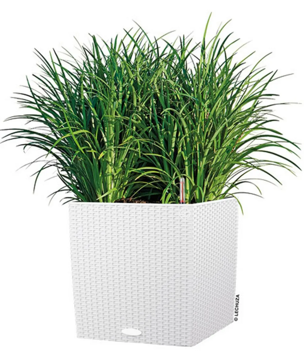 LECHUZA® Lechuza Pflanzgefäße & Töpfe|Blumentöpfe & Übertöpfe > Kunststoff-Topf Cube Cottage, quadratisch