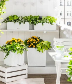 LECHUZA® Lechuza Pflanzgefäße & Töpfe|Blumentöpfe & Übertöpfe > Kunststoff-Topf Cube Cottage, quadratisch