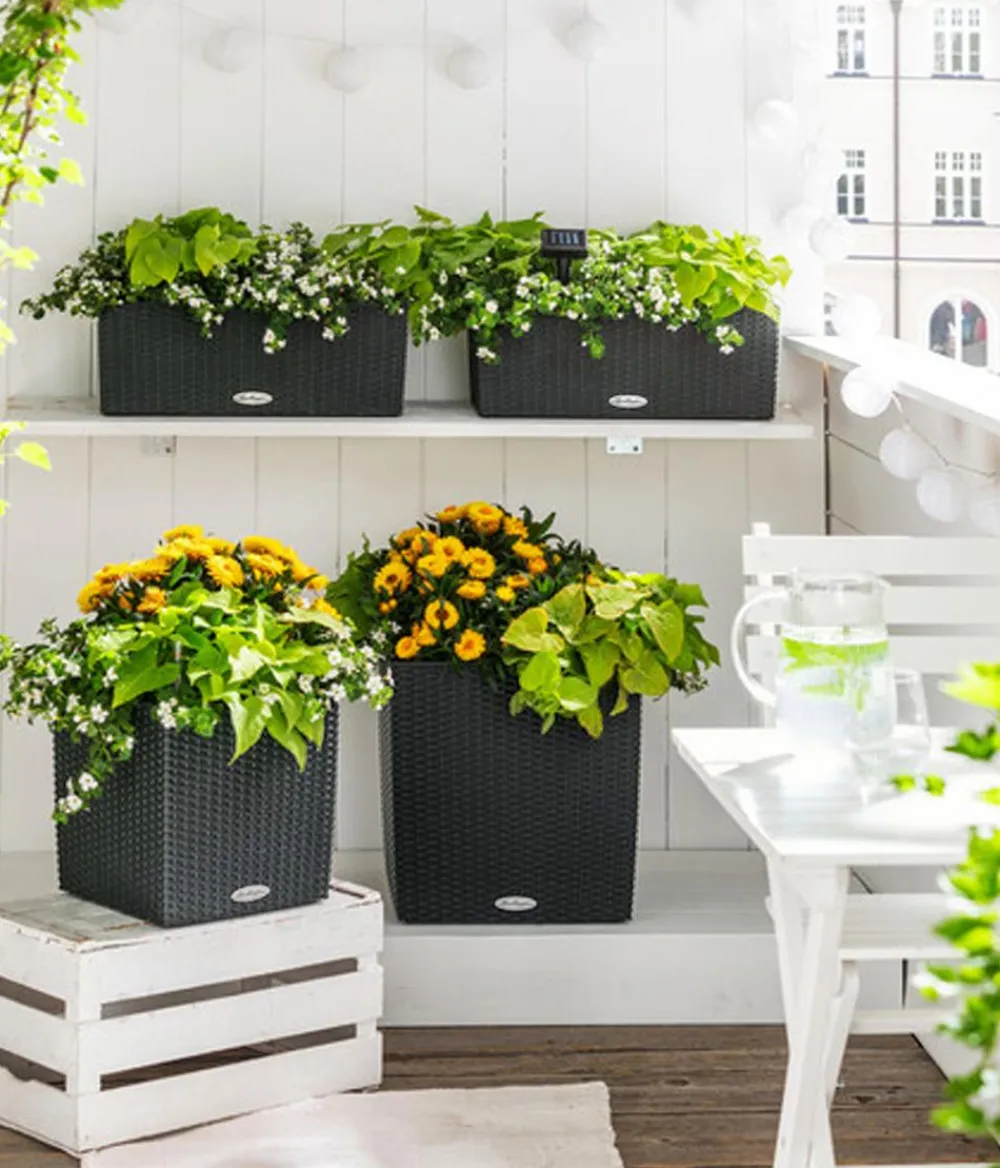 LECHUZA® Lechuza Pflanzgefäße & Töpfe|Blumentöpfe & Übertöpfe > Kunststoff-Topf Cube Cottage, quadratisch