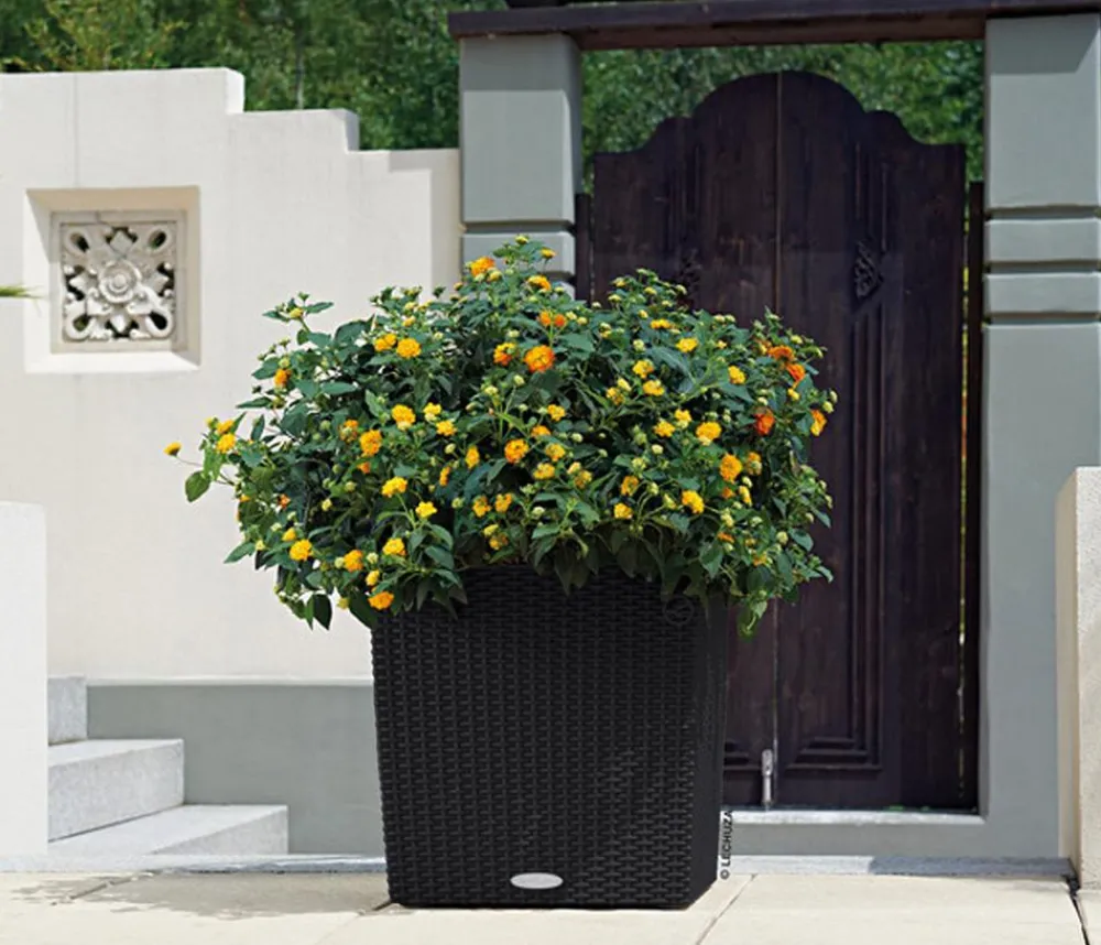 LECHUZA® Lechuza Pflanzgefäße & Töpfe|Blumentöpfe & Übertöpfe > Kunststoff-Topf Cube Cottage, quadratisch