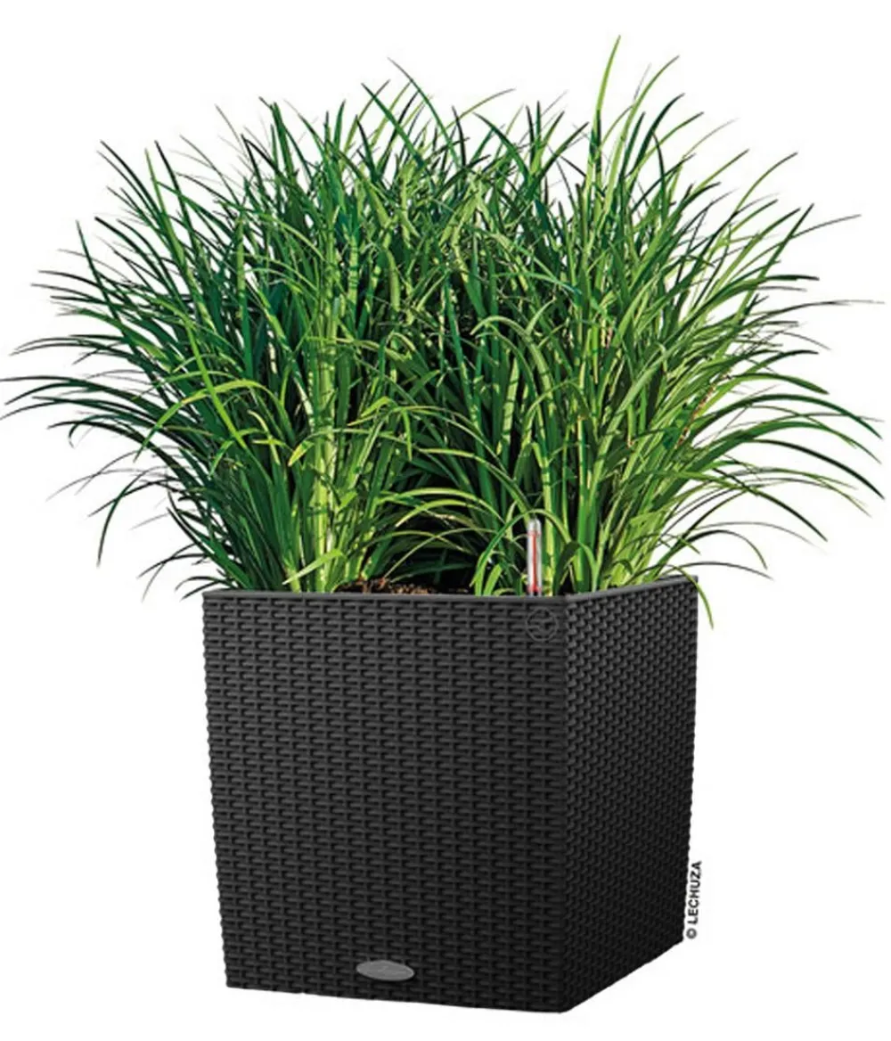 LECHUZA® Lechuza Pflanzgefäße & Töpfe|Blumentöpfe & Übertöpfe > Kunststoff-Topf Cube Cottage, quadratisch