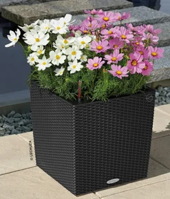 LECHUZA® Lechuza Pflanzgefäße & Töpfe|Blumentöpfe & Übertöpfe > Kunststoff-Topf Cube Cottage, quadratisch
