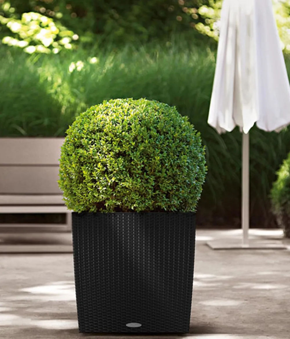 LECHUZA® Lechuza Pflanzgefäße & Töpfe|Blumentöpfe & Übertöpfe > Kunststoff-Topf Cube Cottage, quadratisch