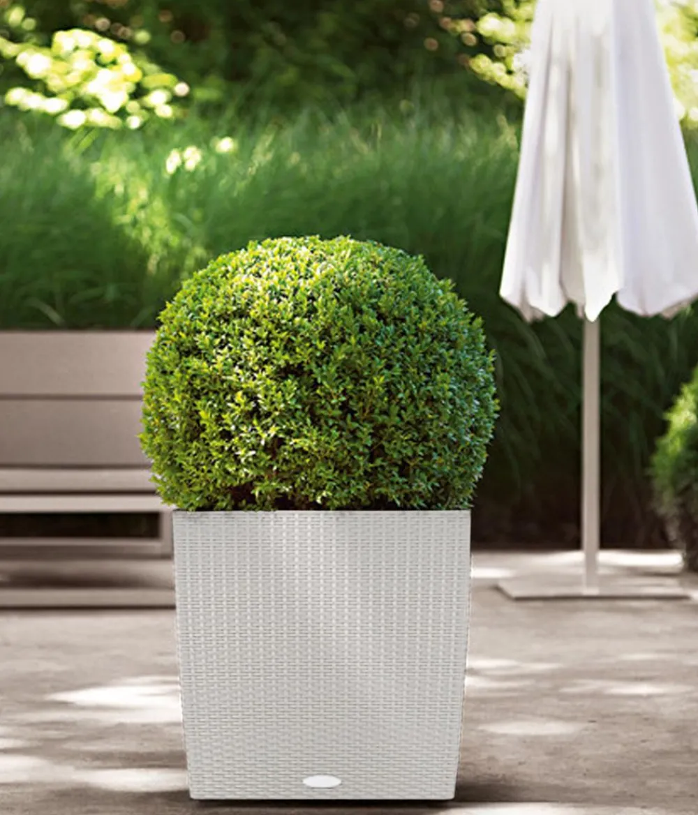 LECHUZA® Lechuza Pflanzgefäße & Töpfe|Blumentöpfe & Übertöpfe > Kunststoff-Topf Cube Cottage, quadratisch