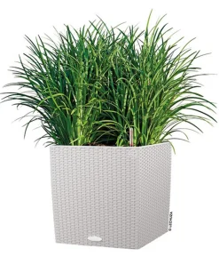 LECHUZA® Lechuza Pflanzgefäße & Töpfe|Blumentöpfe & Übertöpfe > Kunststoff-Topf Cube Cottage, quadratisch