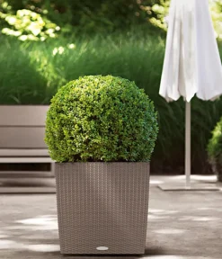 LECHUZA® Lechuza Pflanzgefäße & Töpfe|Blumentöpfe & Übertöpfe > Kunststoff-Topf Cube Cottage, quadratisch