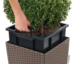 LECHUZA® Lechuza Pflanzgefäße & Töpfe|Blumentöpfe & Übertöpfe > Kunststoff-Topf Cube Cottage, quadratisch