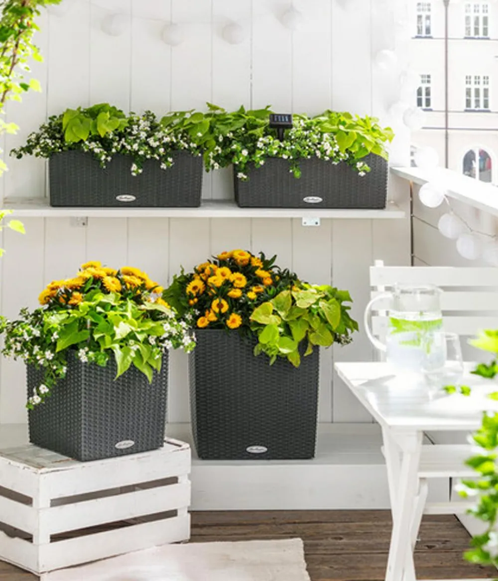 LECHUZA® Kunststoff-Topf Cube Cottage, quadratisch Dunkelgrau New