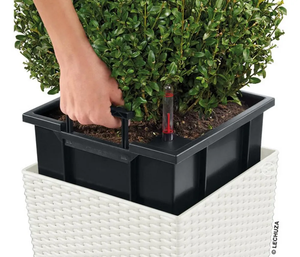 LECHUZA® Kunststoff-Topf Cube Cottage, quadratisch Weiß Best