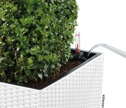 LECHUZA® Kunststoff-Topf Cube Cottage, quadratisch Weiß Best