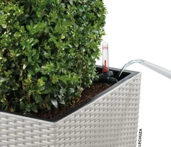 LECHUZA® Kunststoff-Topf Cube Cottage, quadratisch Hellgrau Best