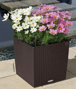 LECHUZA® Kunststoff-Topf Cube Cottage, quadratisch Dunkelbraun New