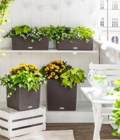 LECHUZA® Kunststoff-Topf Cube Cottage, quadratisch Dunkelbraun New
