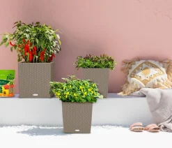 LECHUZA® Kunststoff-Topf Cube Cottage, quadratisch Hellbraun Sale