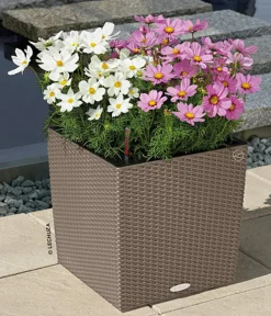 LECHUZA® Kunststoff-Topf Cube Cottage, quadratisch Hellbraun Sale