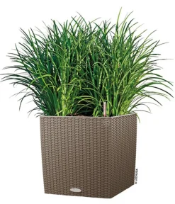 LECHUZA® Kunststoff-Topf Cube Cottage, quadratisch Hellbraun Sale