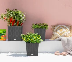 LECHUZA® Lechuza Pflanzgefäße & Töpfe|Blumentöpfe & Übertöpfe - Kunststoff-Topf Cube Cottage, quadratisch Dunkelgrau
