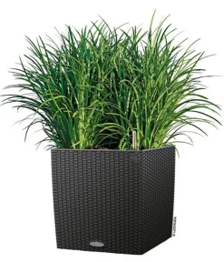 LECHUZA® Lechuza Pflanzgefäße & Töpfe|Blumentöpfe & Übertöpfe - Kunststoff-Topf Cube Cottage, quadratisch Dunkelgrau