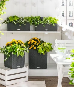 LECHUZA® Lechuza Pflanzgefäße & Töpfe|Blumentöpfe & Übertöpfe - Kunststoff-Topf Cube Cottage, quadratisch Dunkelgrau