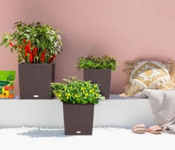 LECHUZA® Lechuza Pflanzgefäße & Töpfe|Blumentöpfe & Übertöpfe - Kunststoff-Topf Cube Cottage, quadratisch Dunkelbraun