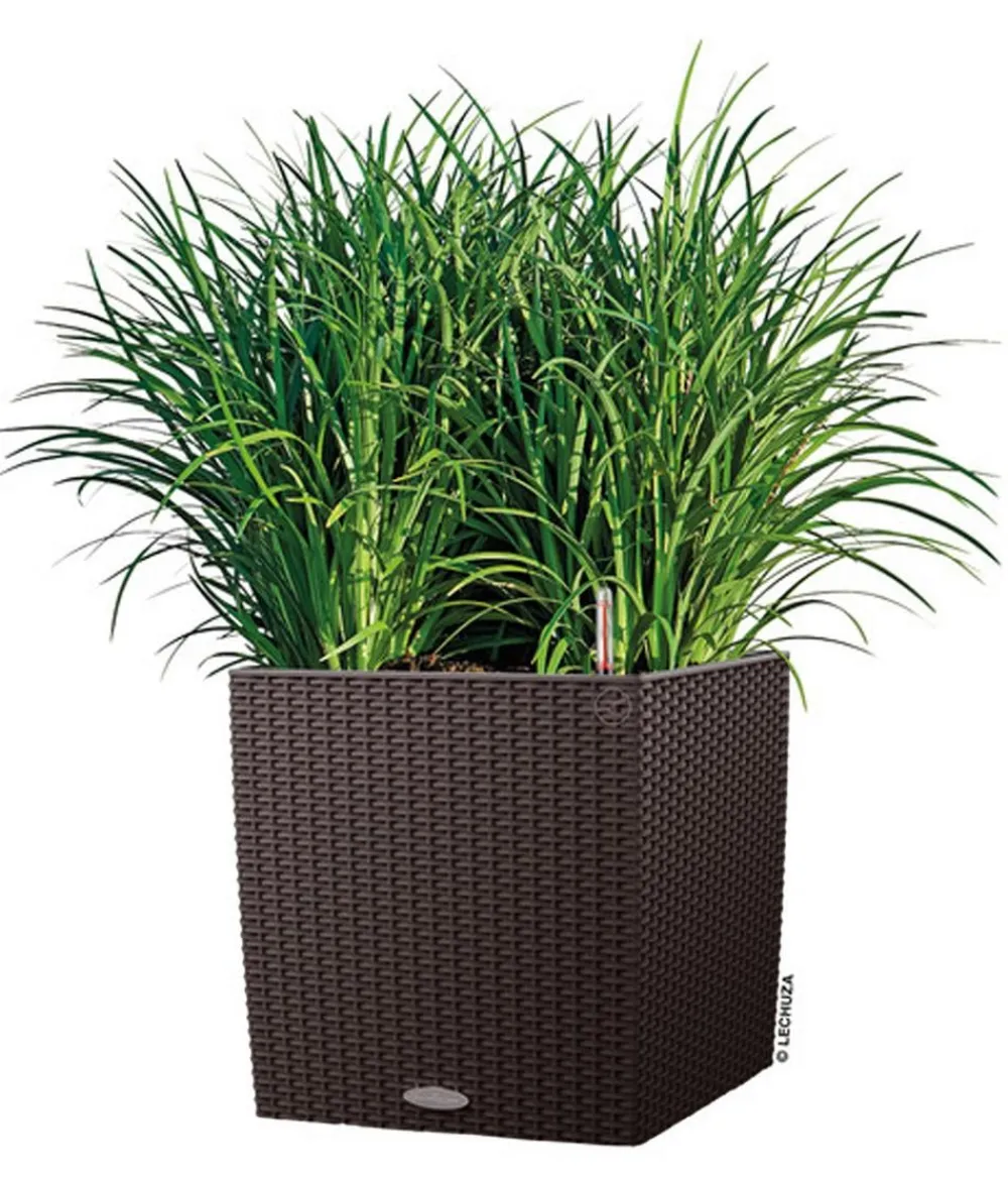 LECHUZA® Lechuza Pflanzgefäße & Töpfe|Blumentöpfe & Übertöpfe - Kunststoff-Topf Cube Cottage, quadratisch Dunkelbraun