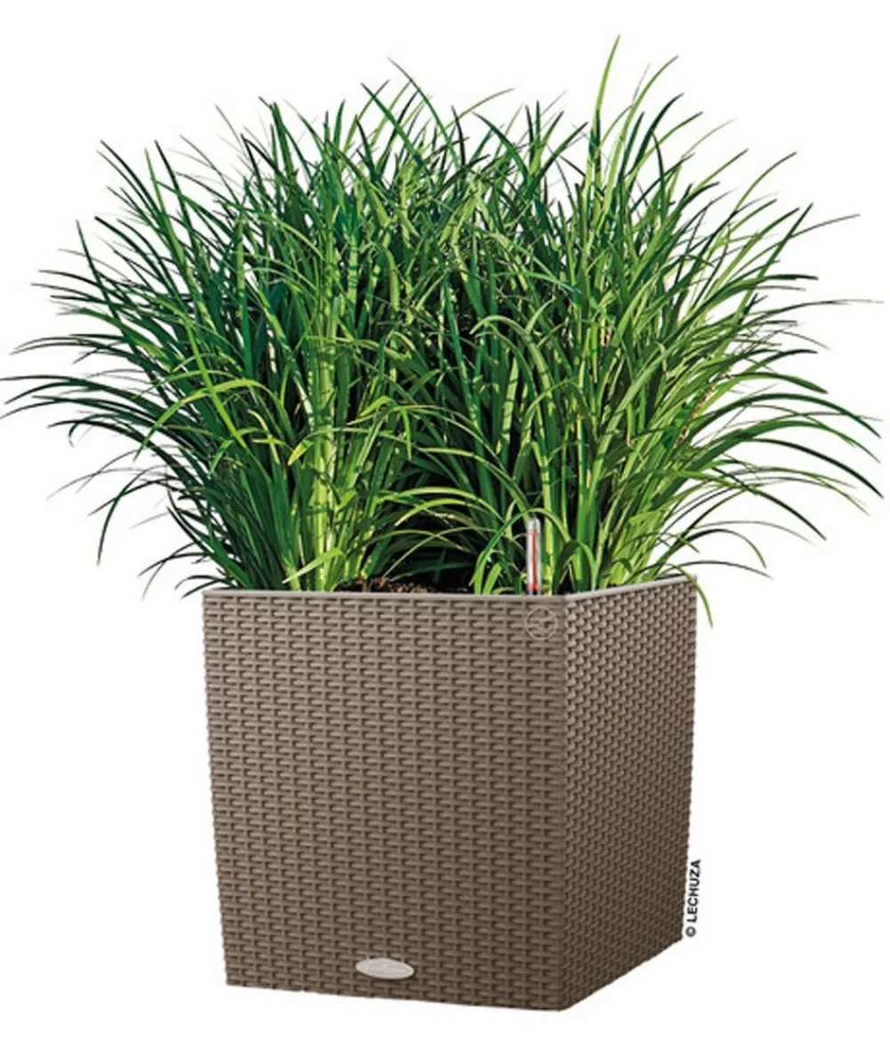 LECHUZA® Lechuza Pflanzgefäße & Töpfe|Blumentöpfe & Übertöpfe - Kunststoff-Topf Cube Cottage, quadratisch Hellbraun