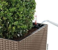 LECHUZA® Lechuza Pflanzgefäße & Töpfe|Blumentöpfe & Übertöpfe - Kunststoff-Topf Cube Cottage, quadratisch Hellbraun