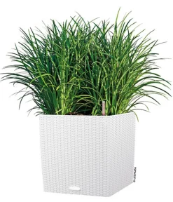LECHUZA® Lechuza Pflanzgefäße & Töpfe|Blumentöpfe & Übertöpfe - Kunststoff-Topf Cube Cottage, quadratisch Weiß