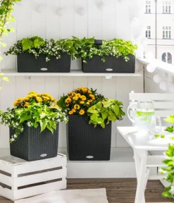 LECHUZA® Lechuza Pflanzgefäße & Töpfe|Blumentöpfe & Übertöpfe - Kunststoff-Topf Cube Cottage, quadratisch Schwarz