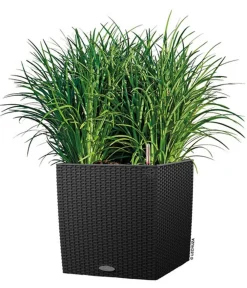 LECHUZA® Lechuza Pflanzgefäße & Töpfe|Blumentöpfe & Übertöpfe - Kunststoff-Topf Cube Cottage, quadratisch Schwarz