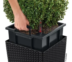 LECHUZA® Lechuza Pflanzgefäße & Töpfe|Blumentöpfe & Übertöpfe - Kunststoff-Topf Cube Cottage, quadratisch Schwarz