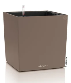 LECHUZA® Kunststoff-Topf Cube, rechteckig Hellbraun New