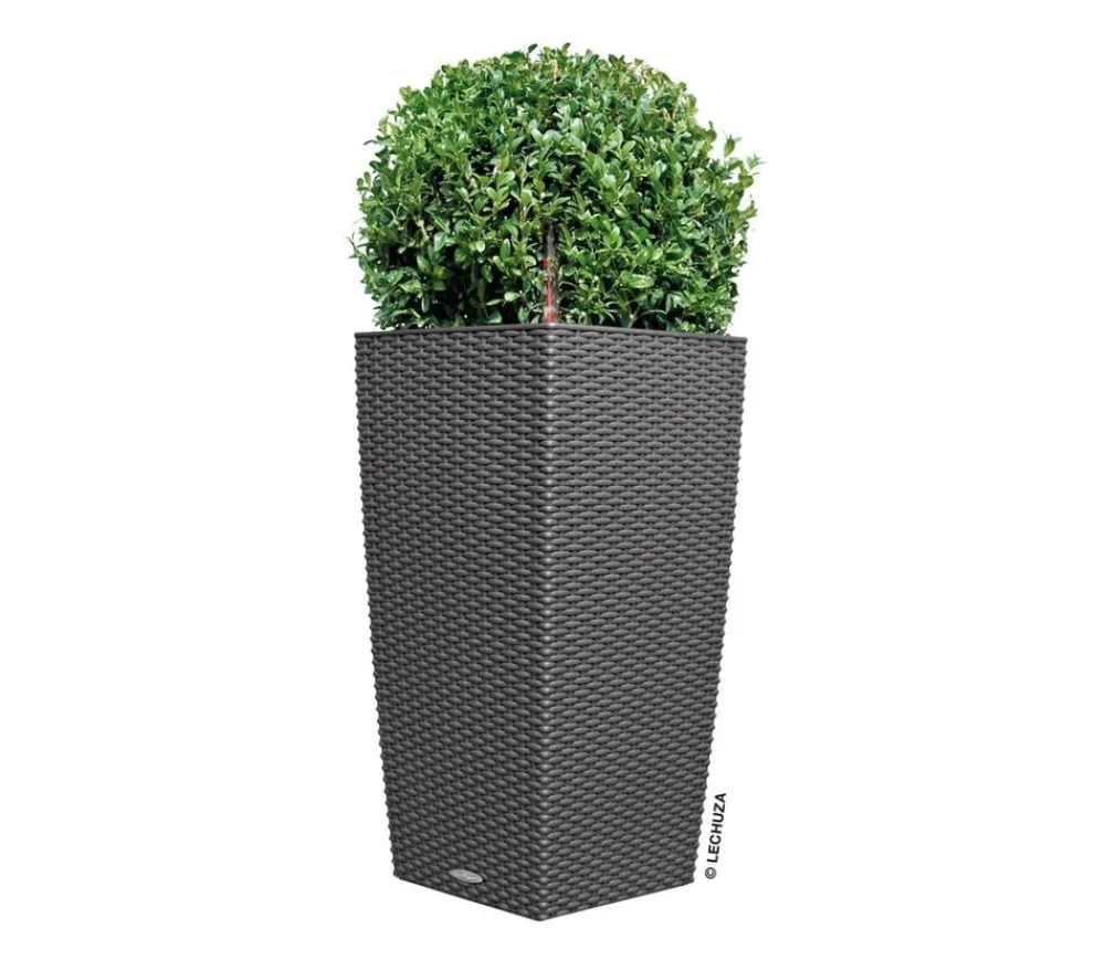 LECHUZA® Lechuza Pflanzgefäße & Töpfe|Blumentöpfe & Übertöpfe > Kunststoff-Topf Cubico Cottage, konisch