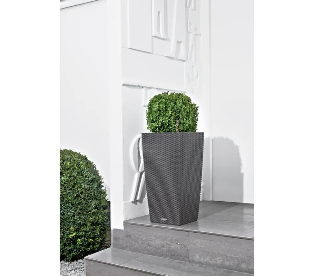 LECHUZA® Lechuza Pflanzgefäße & Töpfe|Blumentöpfe & Übertöpfe > Kunststoff-Topf Cubico Cottage, konisch