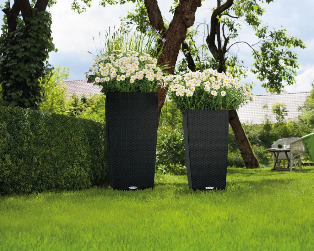 LECHUZA® Lechuza Pflanzgefäße & Töpfe|Blumentöpfe & Übertöpfe > Kunststoff-Topf Cubico Cottage, konisch