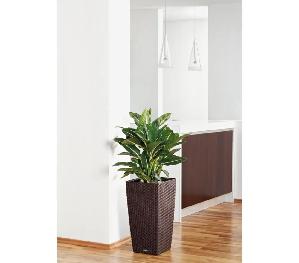 LECHUZA® Kunststoff-Topf Cubico Cottage, konisch Braun Discount