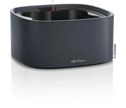 LECHUZA® Lechuza Pflanzgefäße & Töpfe - Kunststoff-Topf PILA Color Stick-System, quadratisch, ca. B35/H16,6/T35 cm Dunkelgrau