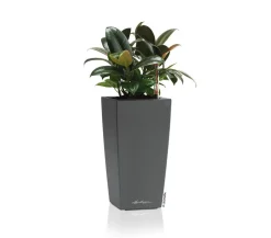 LECHUZA® Lechuza Tischgefäße|Lechuza Pflanzgefäße & Töpfe - MAXI/MINI-CUBI, All-in-One-Set, hochglanz Dunkelgrau
