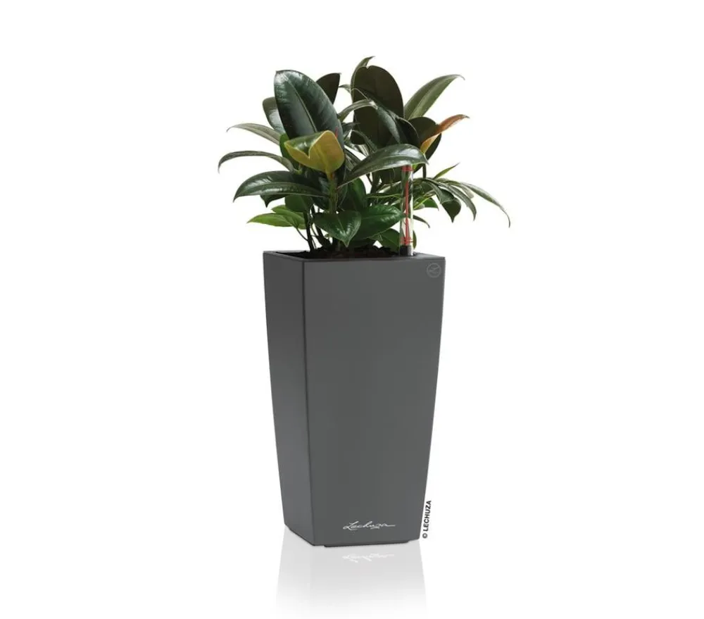 LECHUZA® Lechuza Tischgefäße|Lechuza Pflanzgefäße & Töpfe - MAXI/MINI-CUBI, All-in-One-Set, hochglanz Dunkelgrau