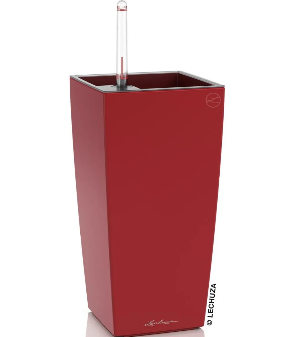 LECHUZA® Lechuza Tischgefäße|Lechuza Pflanzgefäße & Töpfe - MAXI/MINI-CUBI, All-in-One-Set, matt Rot