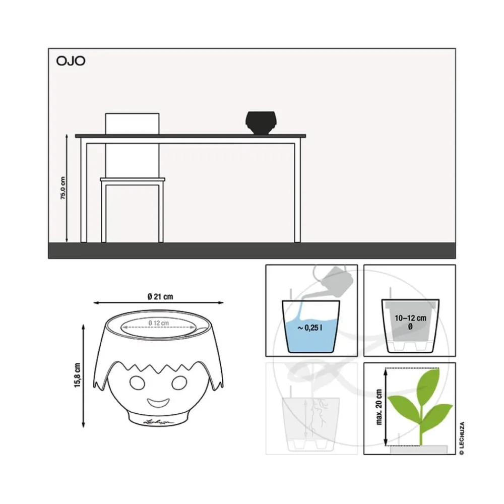 LECHUZA® OJO All-in-One-Set, ca. Ø21/H15,8 cm Schwarz Best