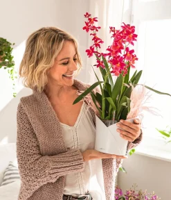 LECHUZA® ORCHIDEA, All-in-One Set, ca. Ø18/H20 cm Weiß Hot