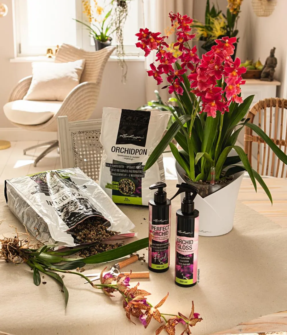 LECHUZA® ORCHIDEA, All-in-One Set, ca. Ø18/H20 cm Weiß Hot