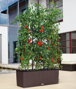LECHUZA® Pflanzkübel & Blumenkästen|Lechuza Pflanzgefäße & Töpfe > Polyrattan-Kasten Trio Cottage, rechteckig