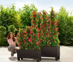 LECHUZA® Pflanzkübel & Blumenkästen|Lechuza Pflanzgefäße & Töpfe > Polyrattan-Kasten Trio Cottage, rechteckig
