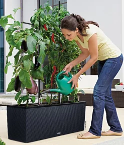 LECHUZA® Pflanzkübel & Blumenkästen|Lechuza Pflanzgefäße & Töpfe > Polyrattan-Kasten Trio Cottage, rechteckig