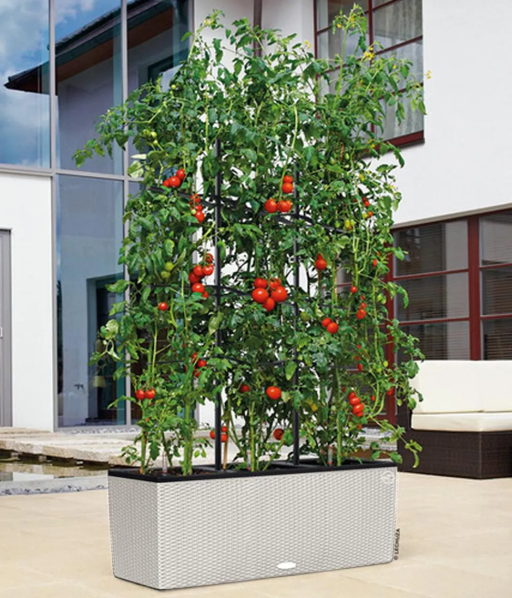 LECHUZA® Pflanzkübel & Blumenkästen|Lechuza Pflanzgefäße & Töpfe > Polyrattan-Kasten Trio Cottage, rechteckig